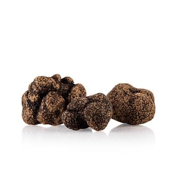 Asiatrüffel - tuber indicum, gewaschen, China, Okt./April